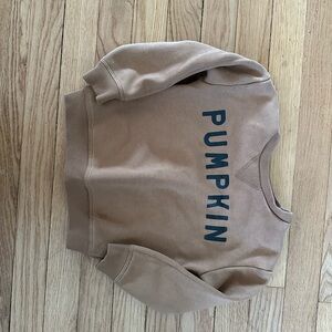 Pumpkin sweatshirt